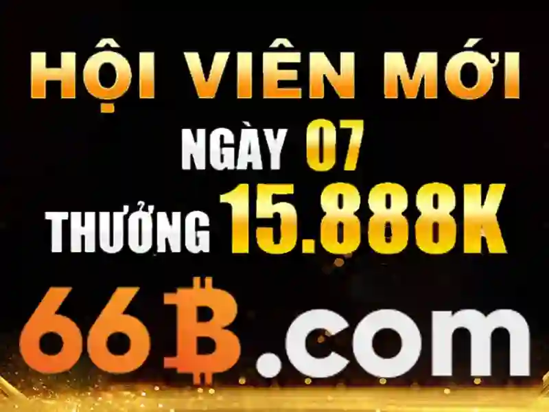 66b cmt8 – Tổng quan và giá trị cốt lõi