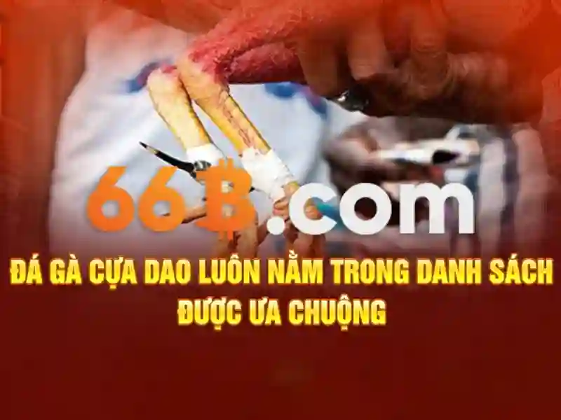 66b nguyễn sỹ sách p15 – Tổng quan chủ đề và giá trị cốt lõi