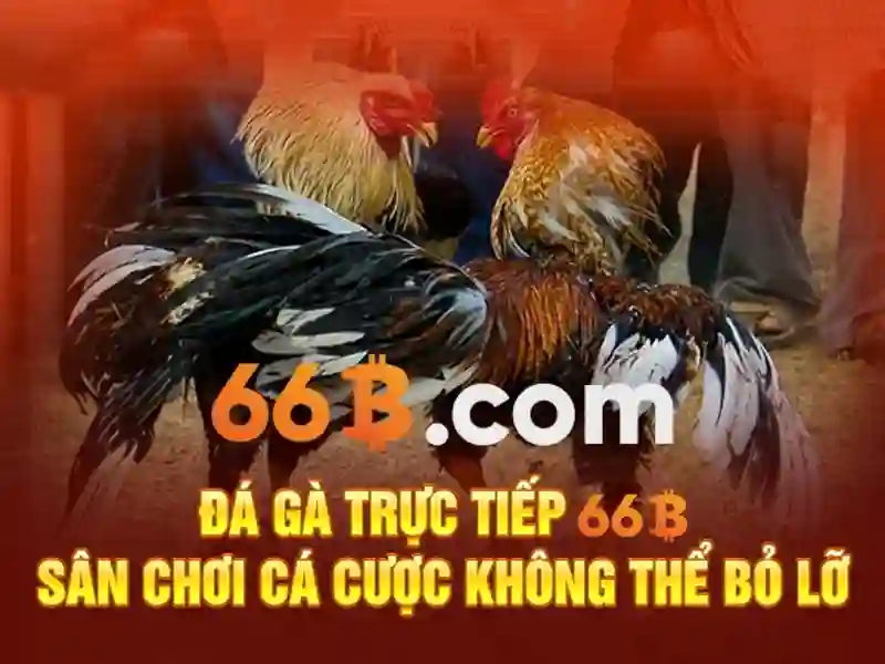 Quy dinh dang ky tai khoan chinh chu tai 66b