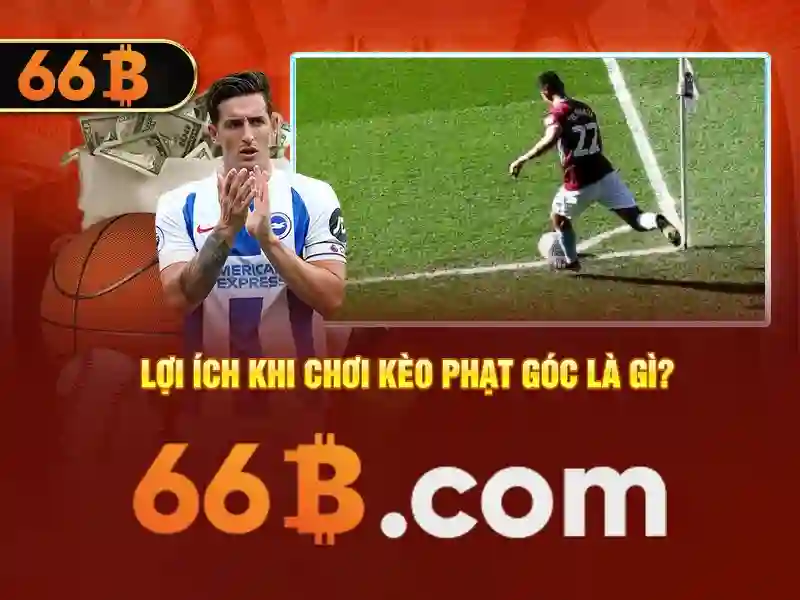 loods 66b – Giá trị thương hiệu và ứng dụng thực tế