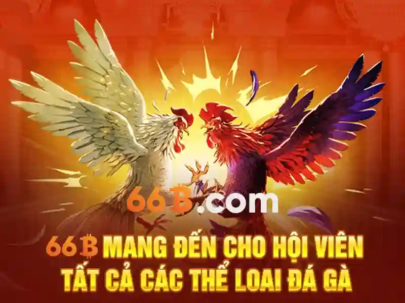 66b chính thức - Tổng quan chủ đề và giá trị cốt lõi