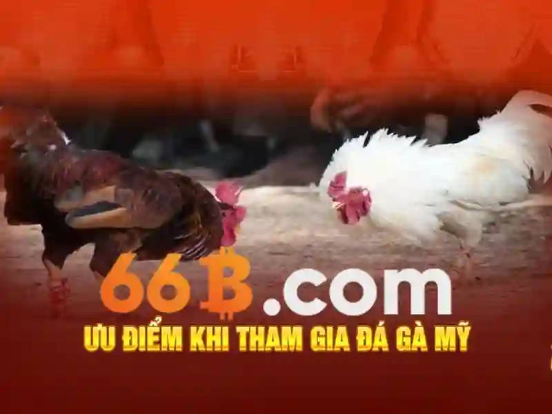 Lưu ý và giới hạn