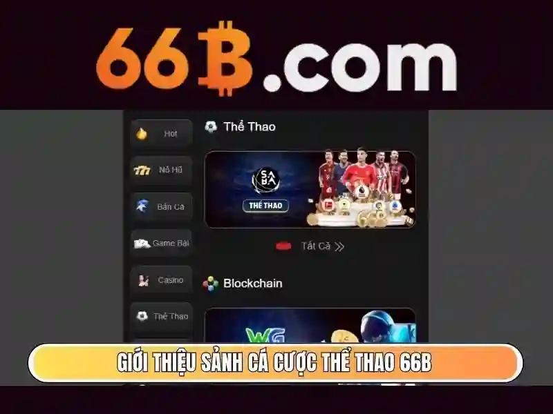 66B là gì?