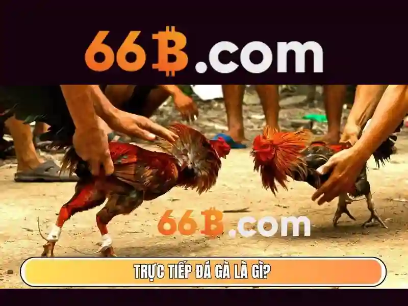 Kiến trúc và khả năng của 66B