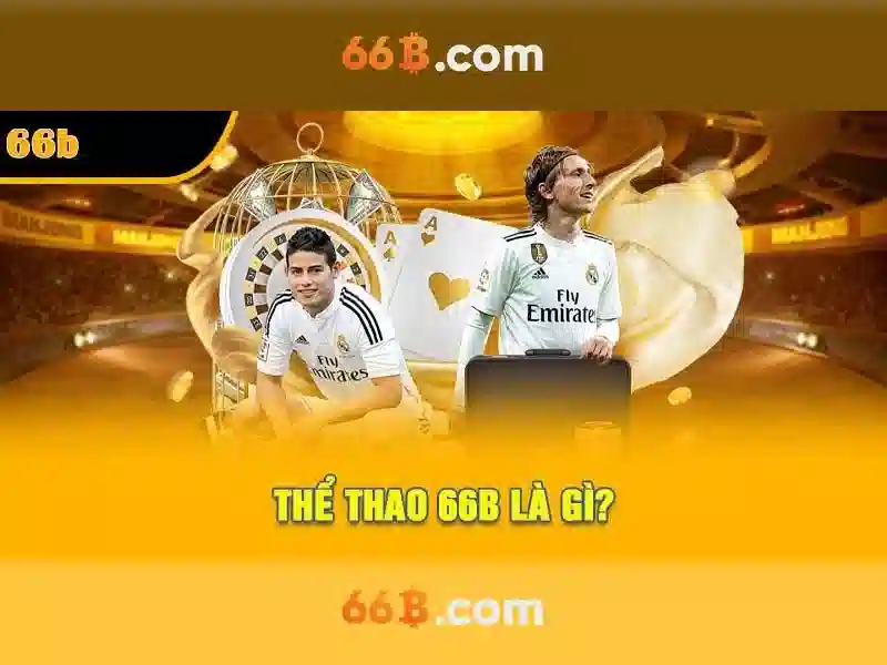 66b nguyễn sỹ sách p15 quận tân bình là gì – tổng quan giá trị