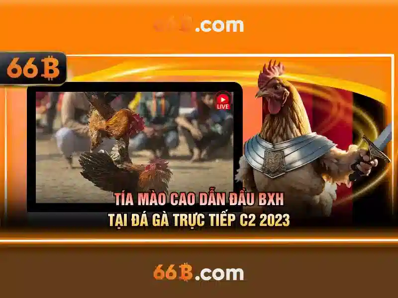 tài xỉu 66b – thương hiệu và trải nghiệm người chơi