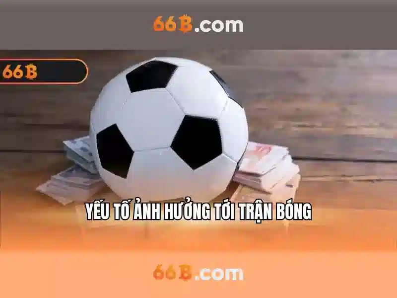 Các tính năng nổi bật
