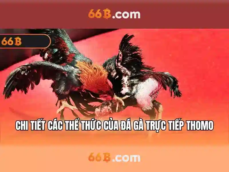 Đặc điểm và thang đo