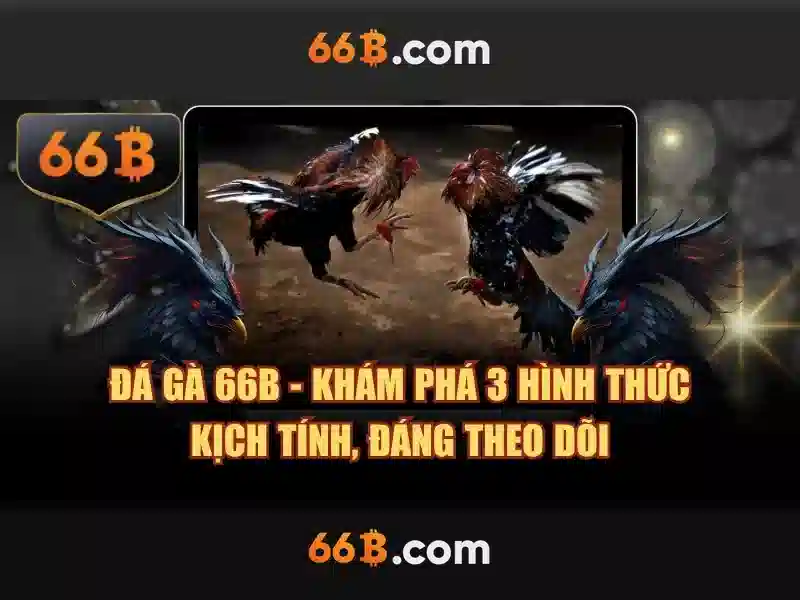 Sản phẩm và dịch vụ chính: Ứng dụng thực tế của 66b . com