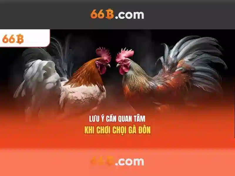 66B: Mô hình ngôn ngữ lớn 66B và tương lai của AI