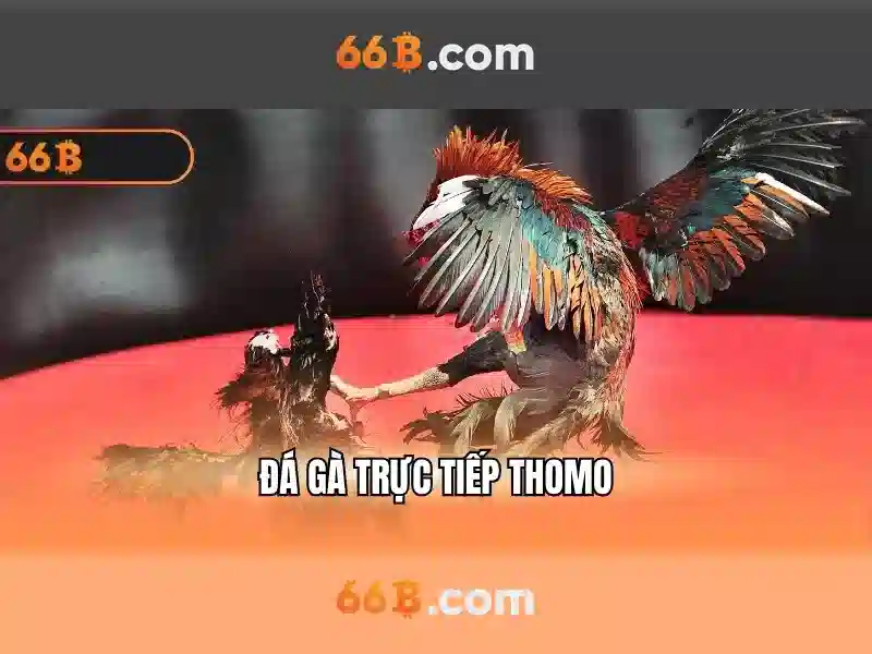 66b: một cái nhìn tổng quan