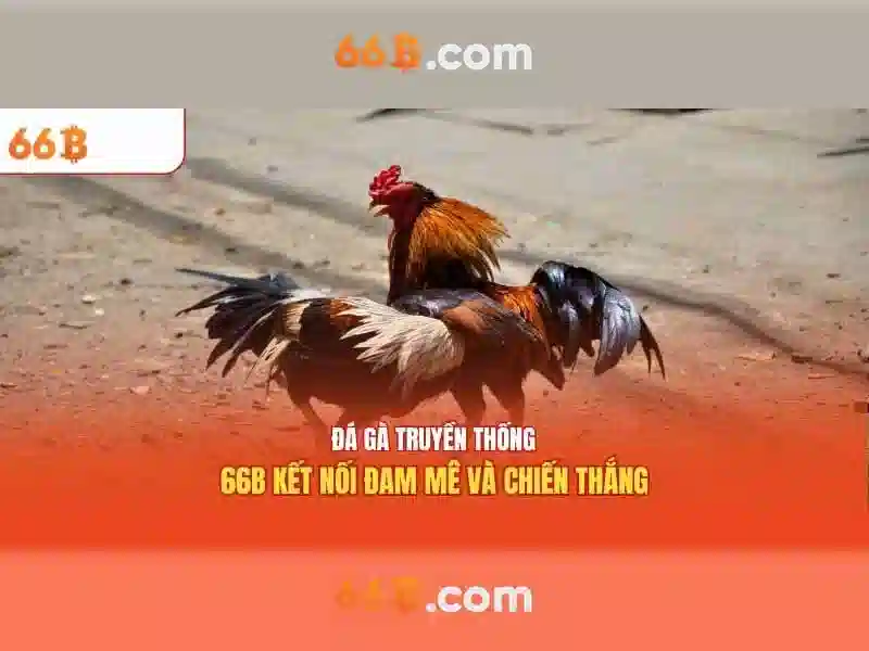 Đặc điểm kỹ thuật và kiến trúc