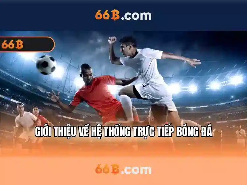 66b chính thức – Hành trình đổi mới và giá trị