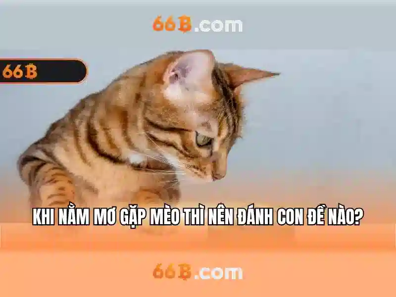 Nguồn gốc và bối cảnh