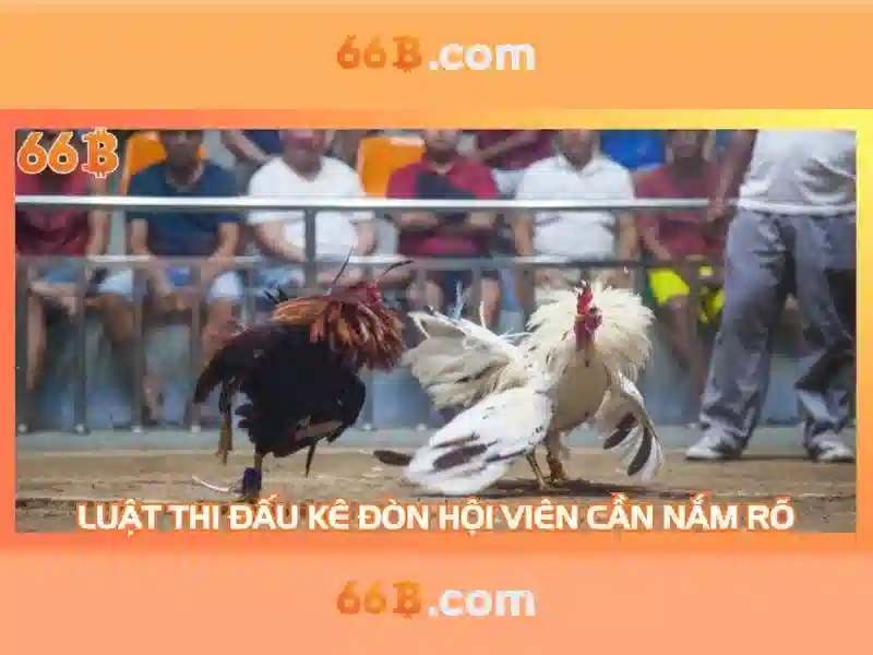 Endrick Rời Real Madrid – Câu Chuyện Phía Sau Quyết Định