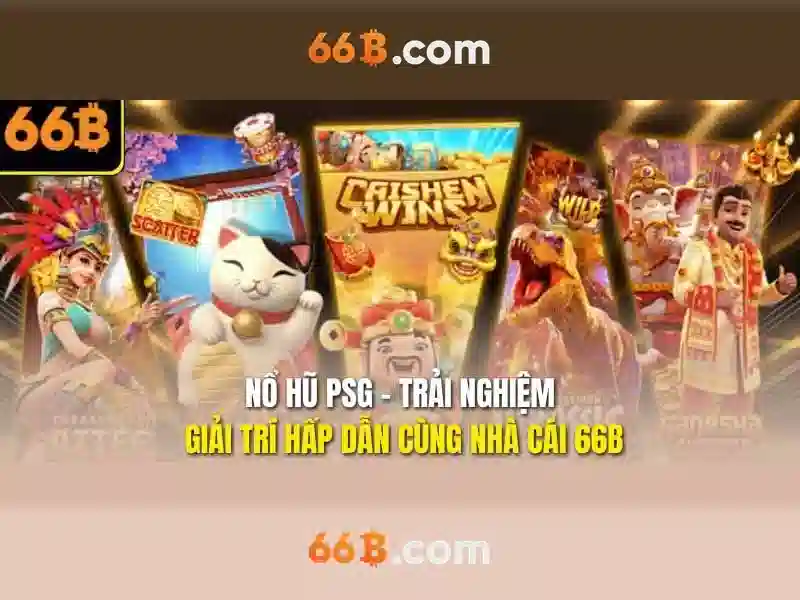 66b – Tổng quan và hành trình xây dựng thương hiệu