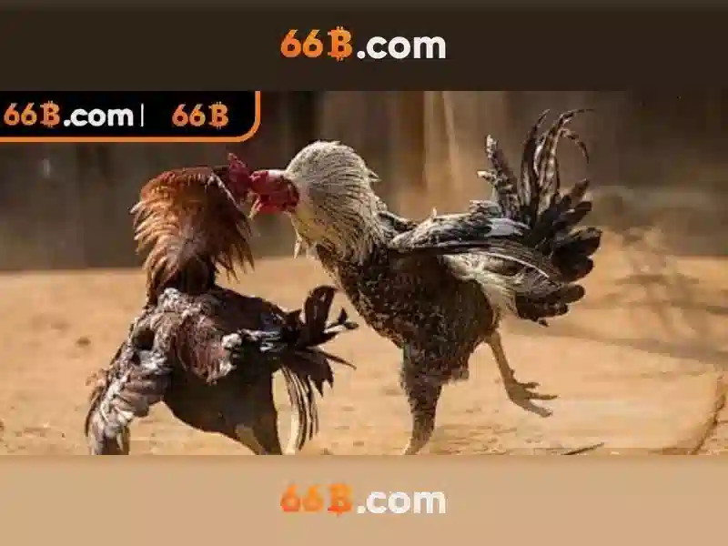 Hiệu suất và ứng dụng