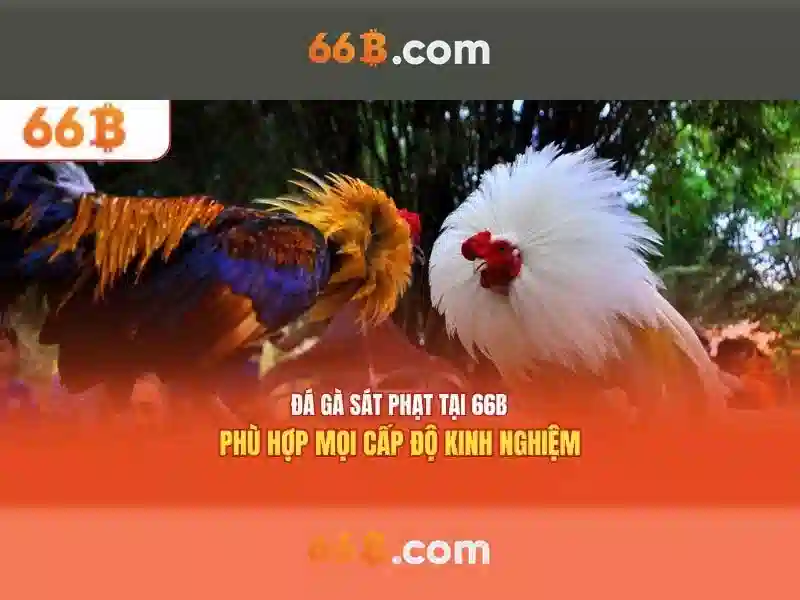 Endrick Rời Real Madrid – Câu Chuyện Phía Sau Quyết Định