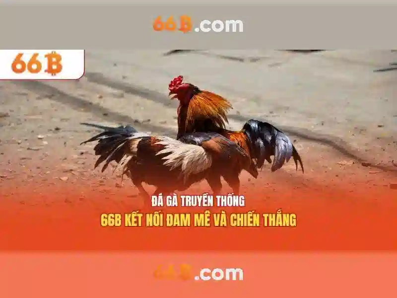 66b: một cái nhìn ngắn về chuỗi số và ứng dụng công nghệ