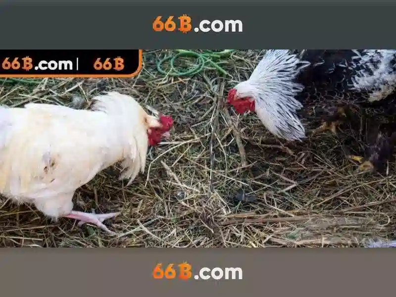 Endrick Rời Real Madrid – Câu Chuyện Phía Sau Quyết Định