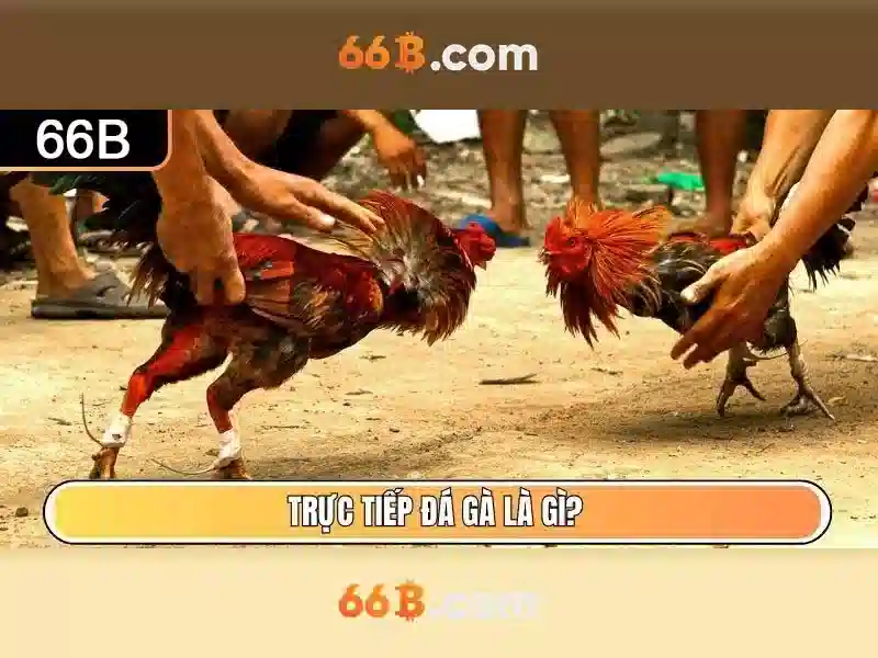 Ưu điểm và hạn chế của 66B