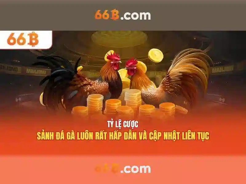 66B – Tổng quan về một mô hình ngôn ngữ lớn 66 tỷ tham số