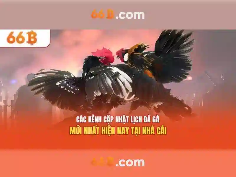 66b of the b – Định hình tương lai công nghệ và ứng dụng