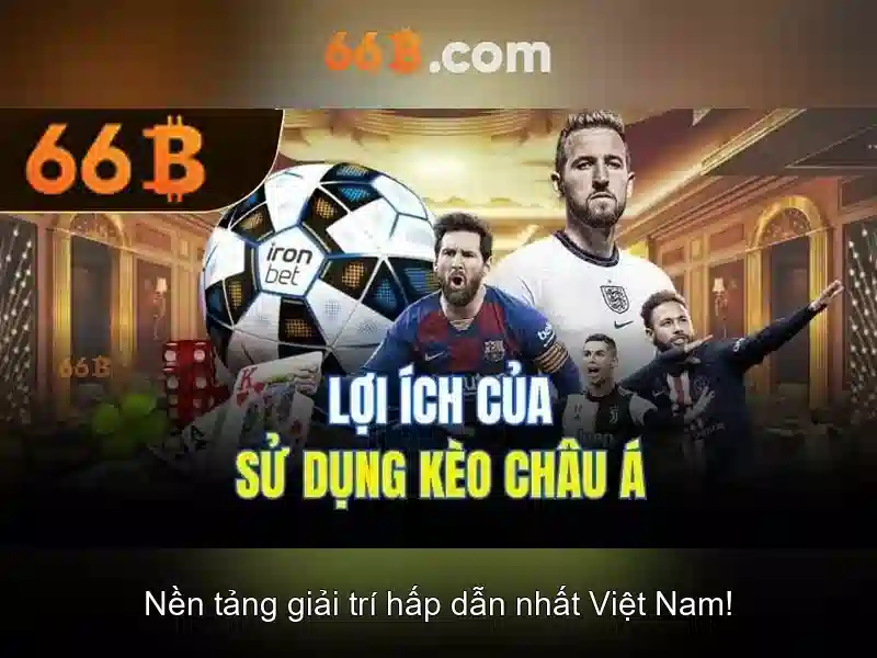 66B là gì? Một cái nhìn tổng quan