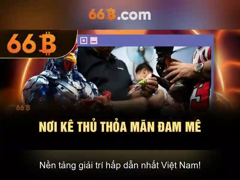 Ứng dụng thực tế của 66b