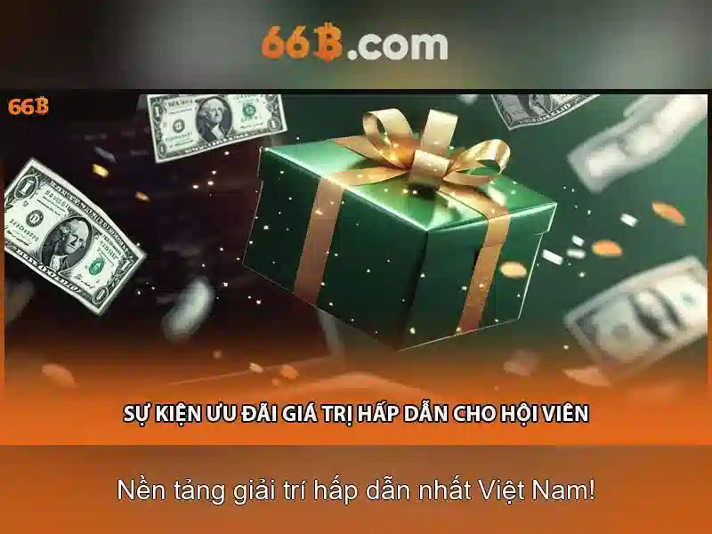 66b là gì
