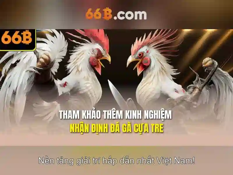 66b: Một mô hình ngôn ngữ lớn trên công nghệ AI