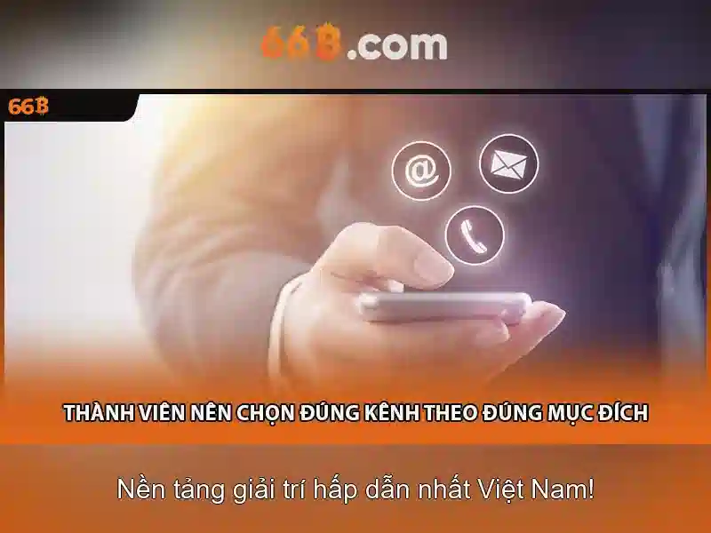 66b và nguồn gốc