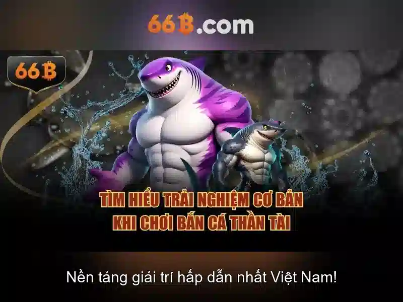 Khái niệm về kích thước và tham số