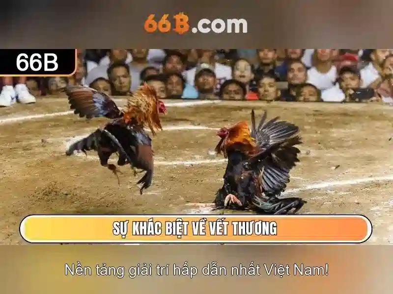 66B: Hiểu về kích thước áo ngực và cách chọn
