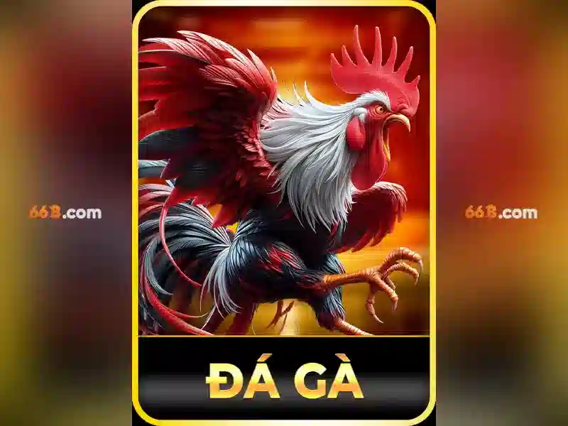 66b là gì: khái niệm công nghệ mới