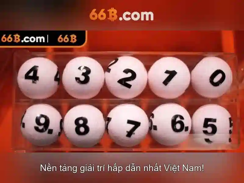 Trải nghiệm người dùng và phản hồi cộng đồng