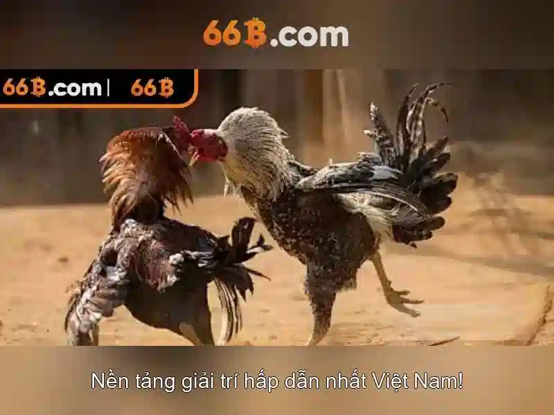 66B: Mô hình ngôn ngữ lớn và các ứng dụng của nó