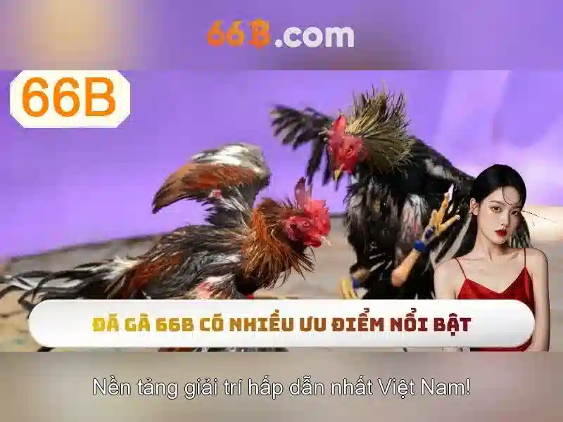Ứng dụng thực tế\n<h2><b>Tương lai của 66B và AI</b></h2>\n<p><span style=