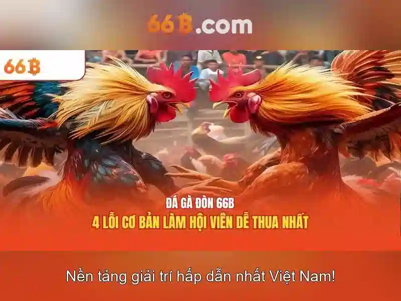 Kiến trúc và khả năng