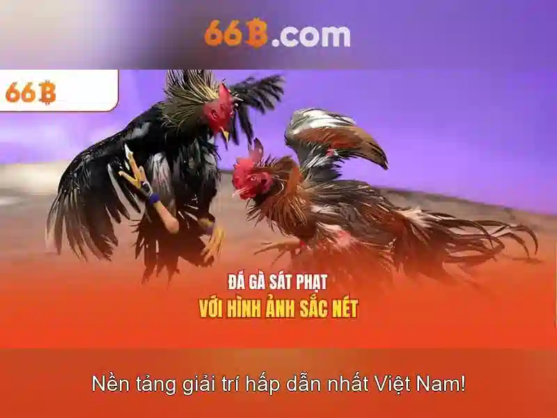66b là gì? - Khám phá một khái niệm công nghệ