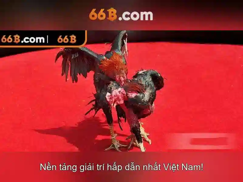 Ứng dụng tiềm năng