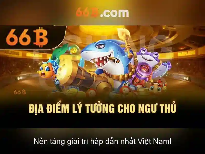 66B là gì?