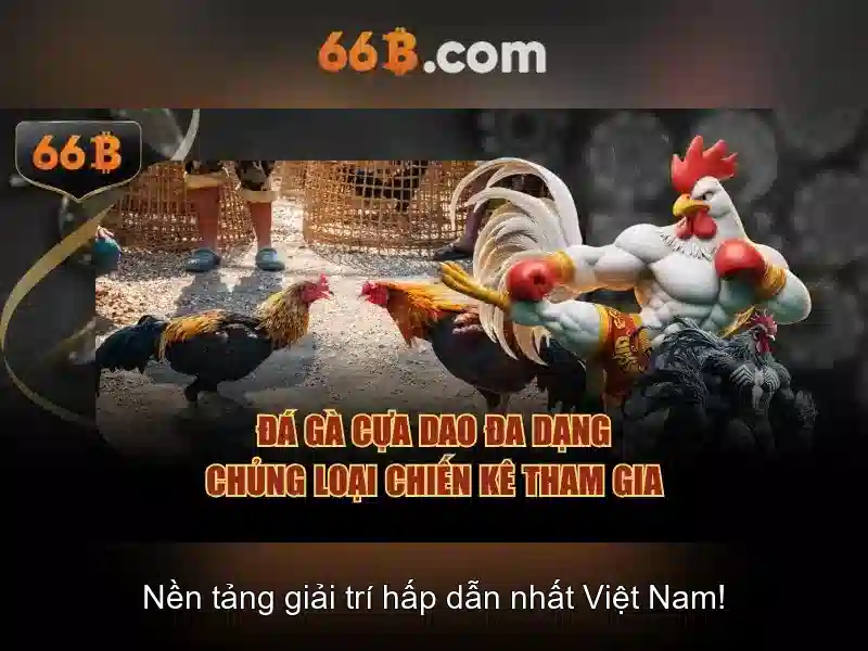Tổng quan và giá trị cốt lõi của 66b võ thị sáu – phường 6 – quận 3 – hồ chí minh