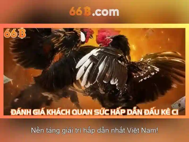 Một bài viết về 66b