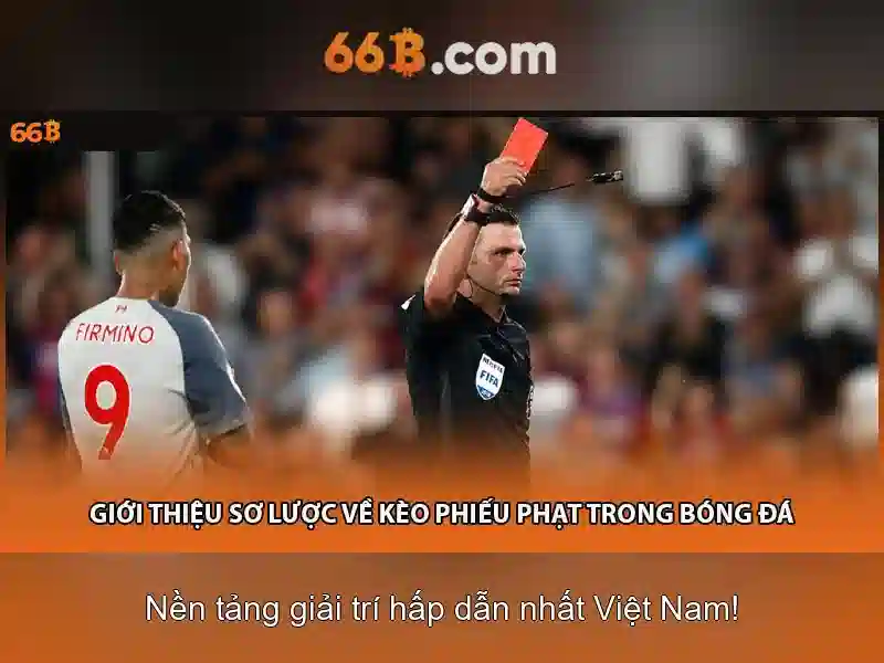 66B là gì?