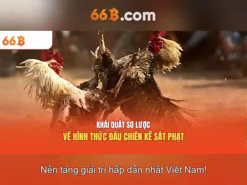 Thách thức và triển vọng tương lai