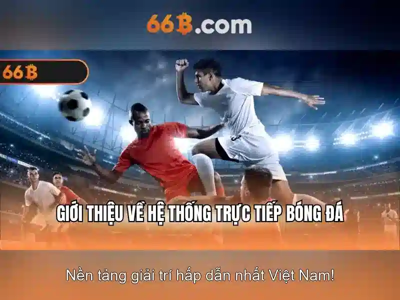 66b là gì?