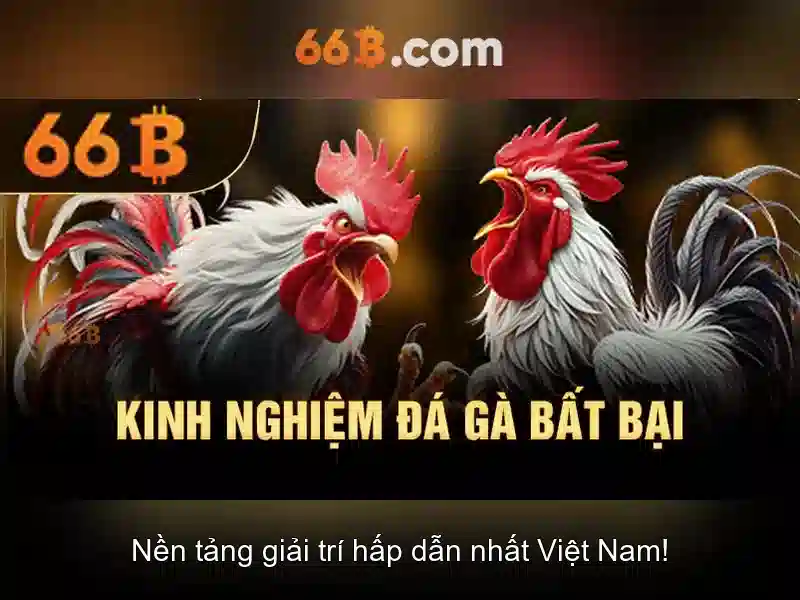 Khái niệm về 66B