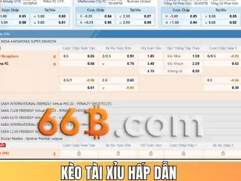 66b là gì?