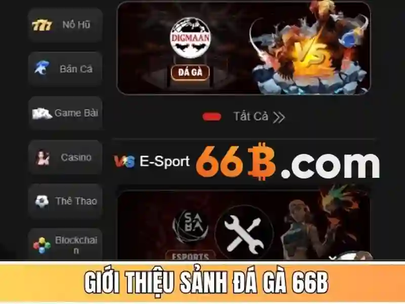 giao dịch 66b – Tổng quan chủ đề và giá trị cốt lõi